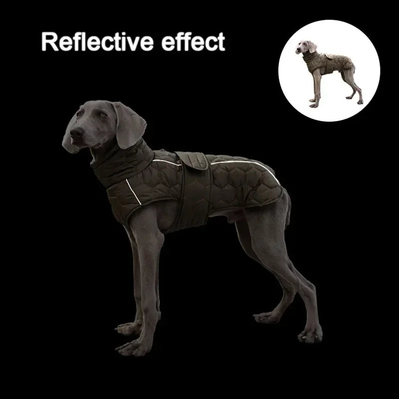 Whippet Greyhound Jacket for Large Breed Dogs
