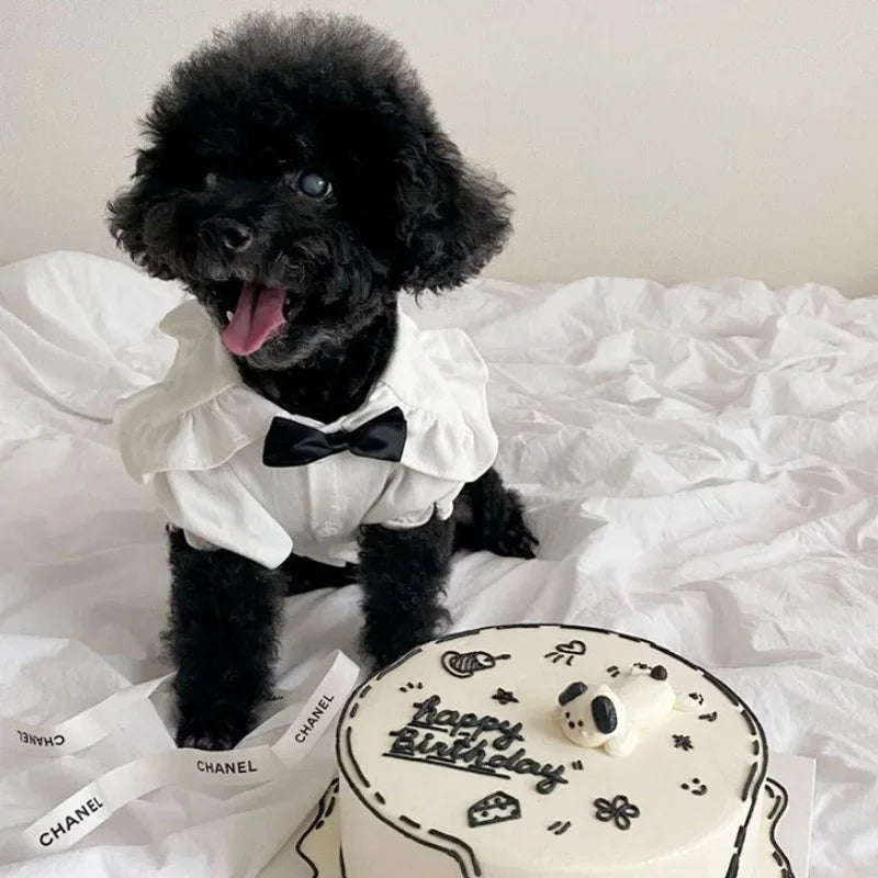 Dress for Small Dogs or Cat Princess.