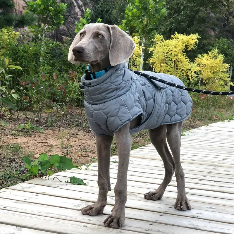Whippet Greyhound Jacket for Large Breed Dogs
