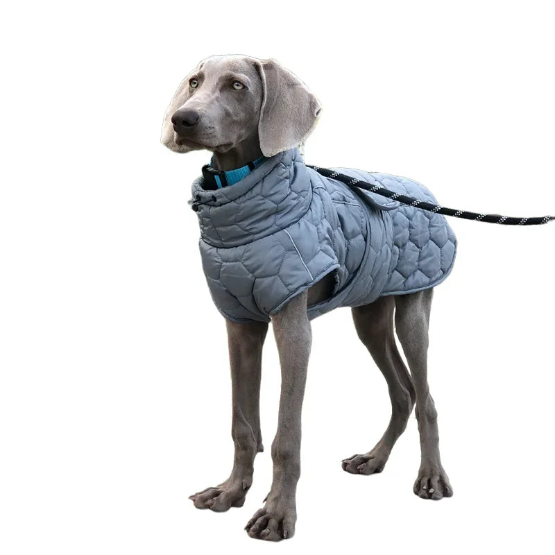 Whippet Greyhound Jacket for Large Breed Dogs