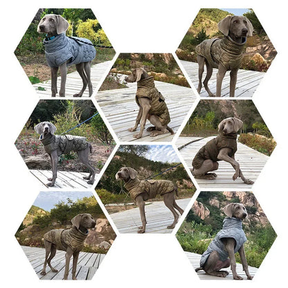 Whippet Greyhound Jacket for Large Breed Dogs