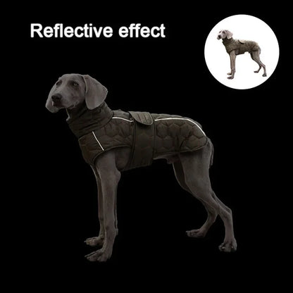 Whippet Greyhound Jacket for Large Breed Dogs