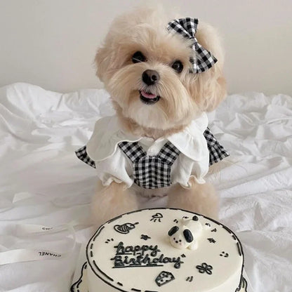 Dress for Small Dogs or Cat Princess.