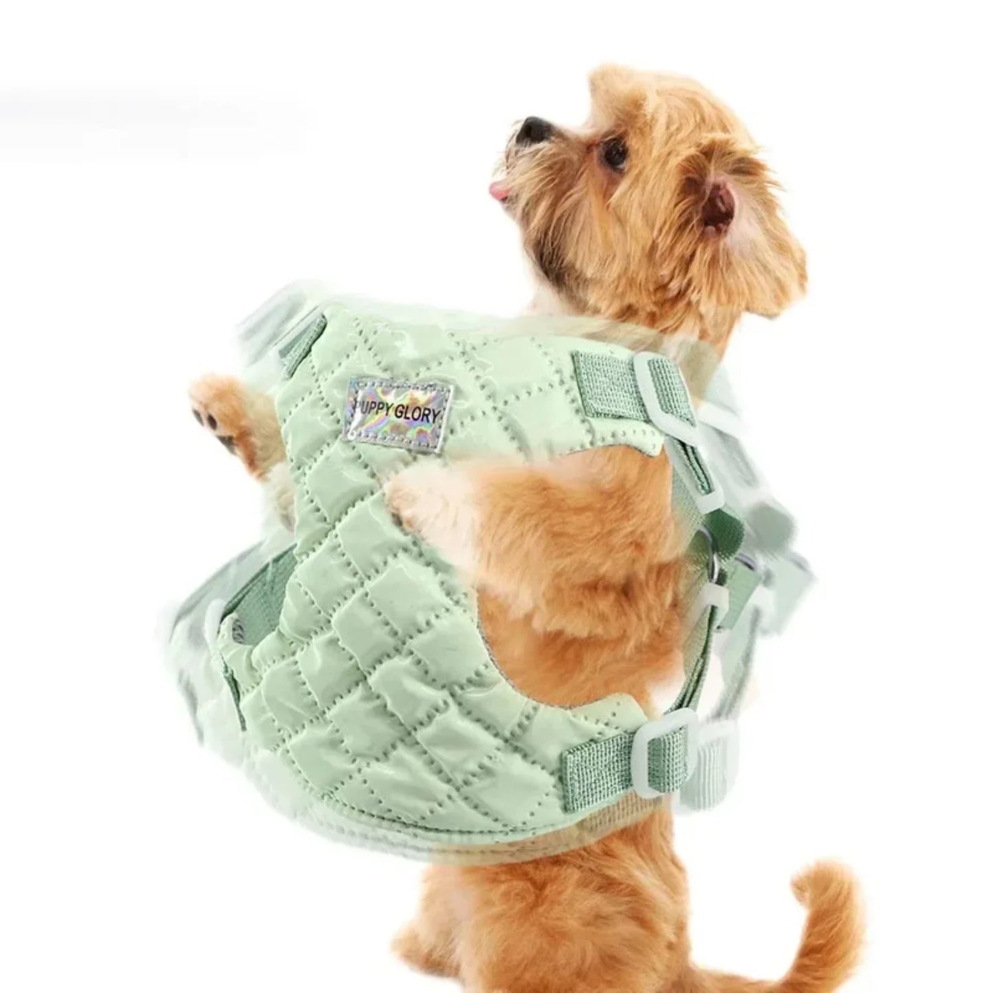 Puppy Vest Harness Small Medium Dogs Adjustable