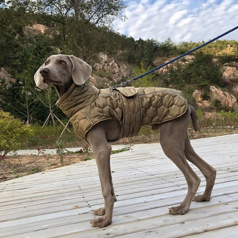 Whippet Greyhound Jacket for Large Breed Dogs