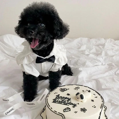 Dress for Small Dogs or Cat Princess.